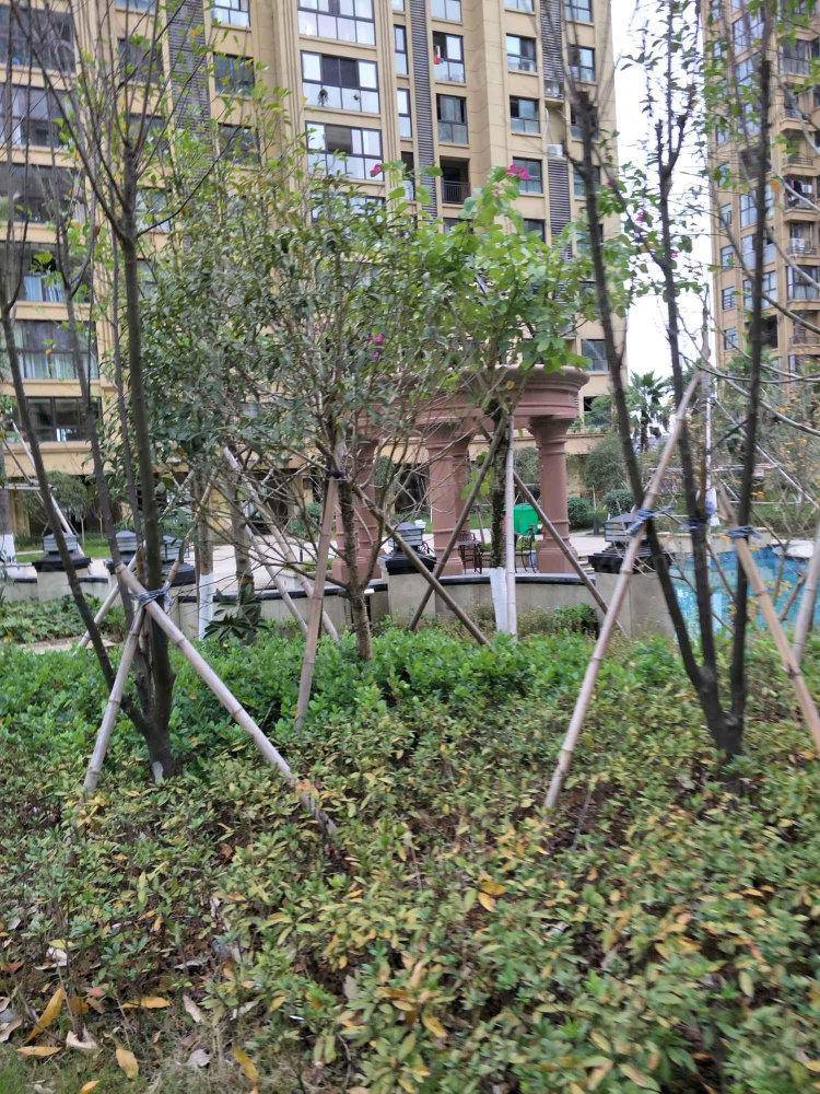 佳泰锦园小区图片