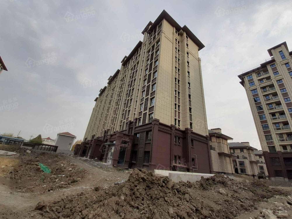 荣耀府小区图片