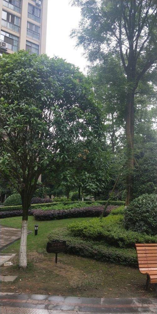 邦泰临港国际小区图片