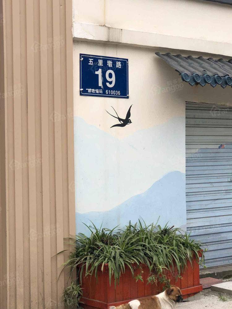 五里墩19号院小区图片