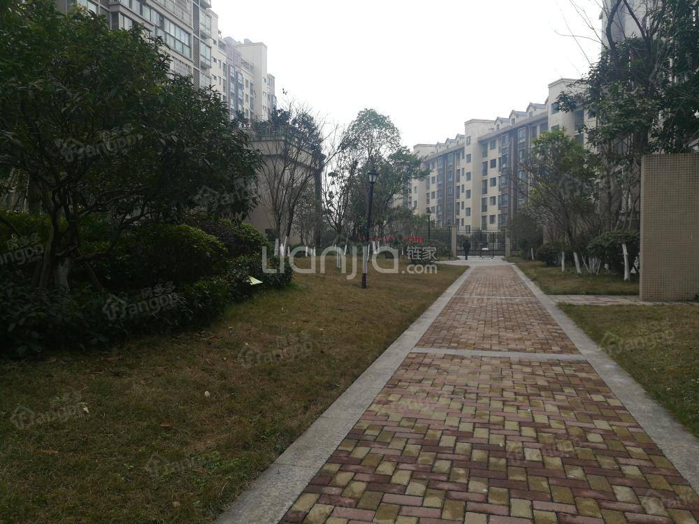 中优观澜小区图片