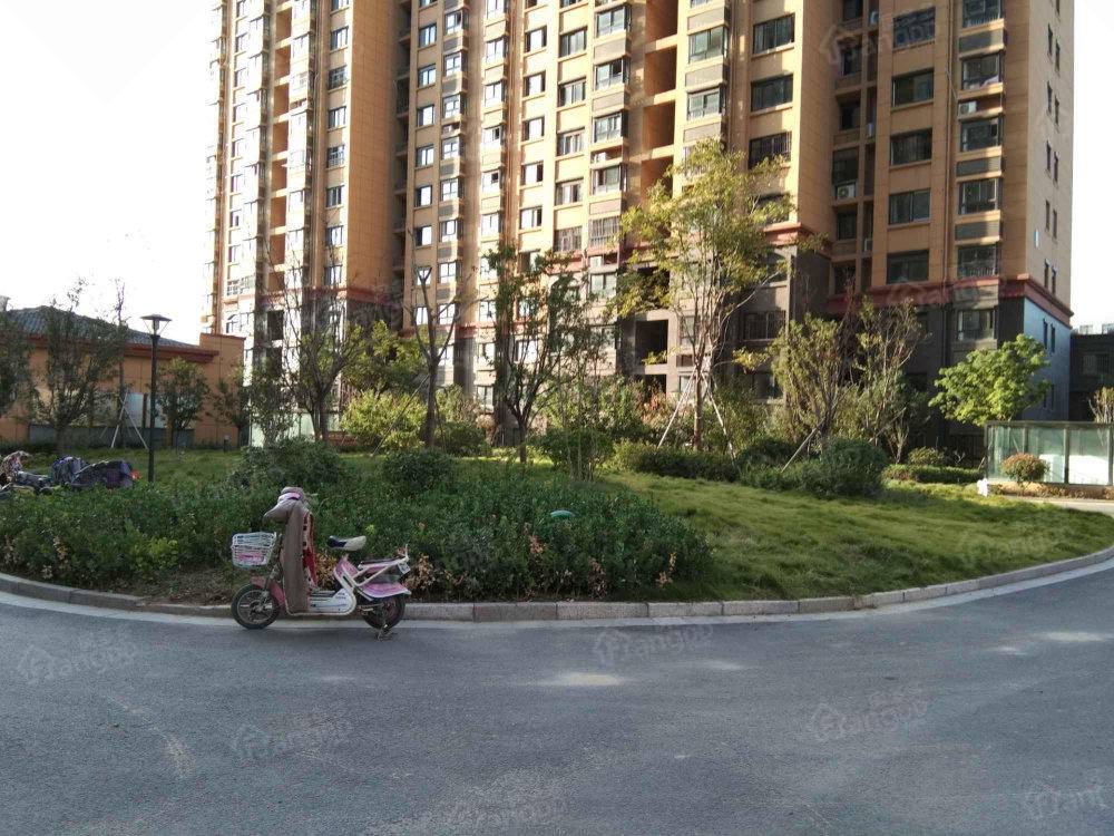 玫瑰园小区图片