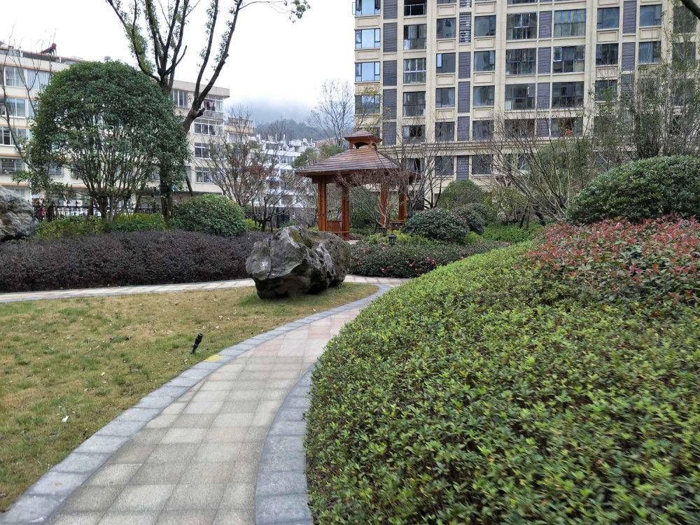 桃园青草湾小区图片