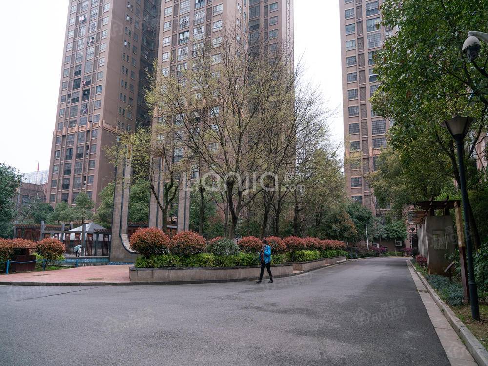 高林仕家小区图片