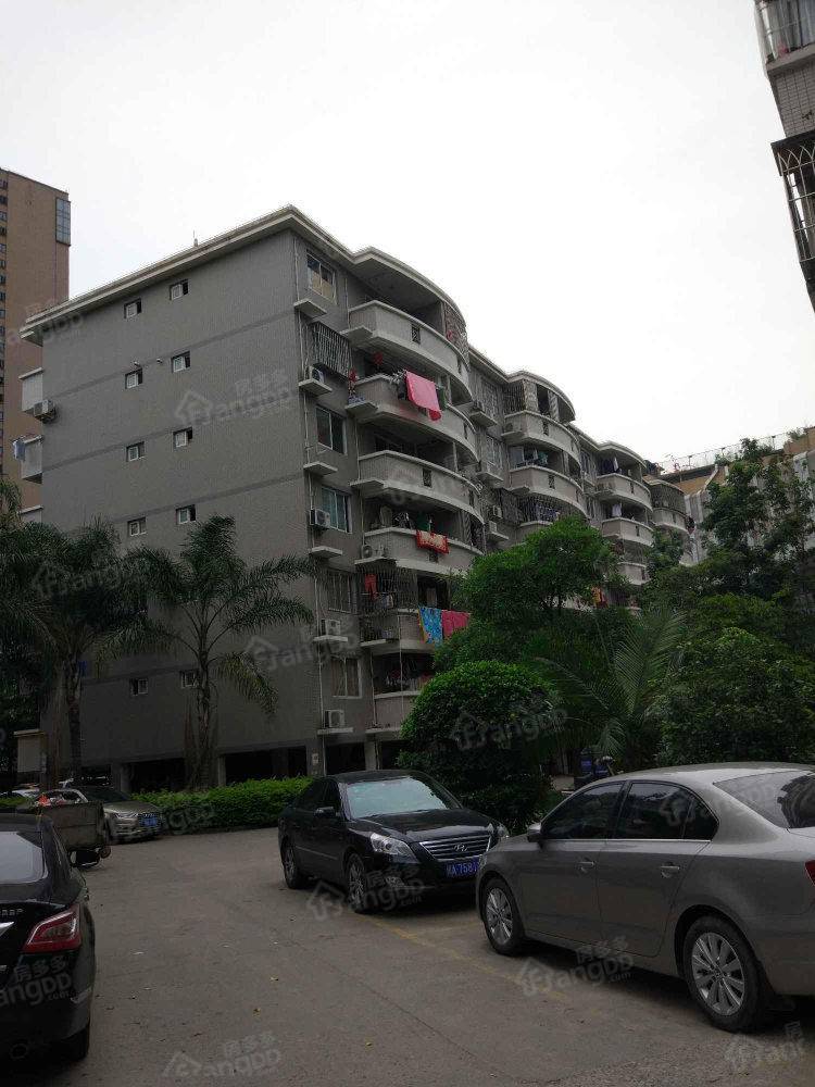 金骏小区二区小区图片