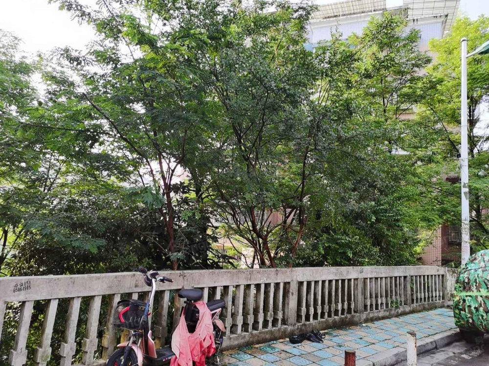 心怡居小区图片
