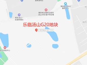 乐临汤山G20地块