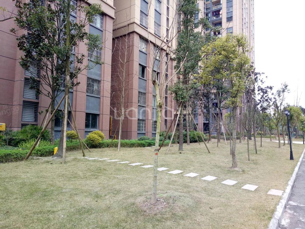 中核天玺一品小区图片
