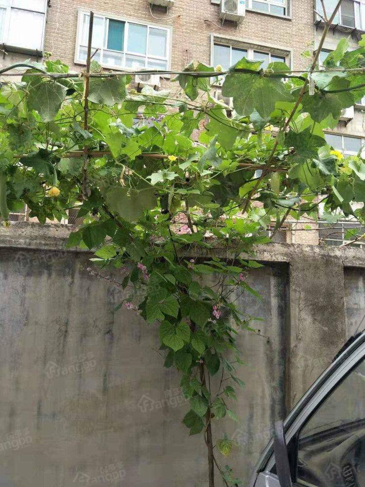 博雅小区小区图片