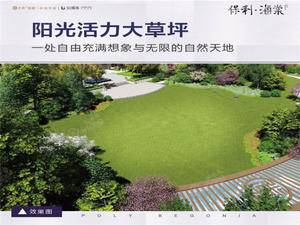 保利海棠