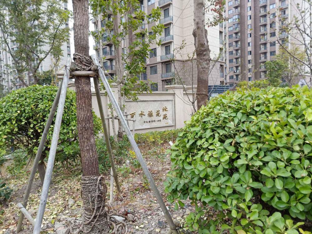 丽水雅苑北苑小区图片