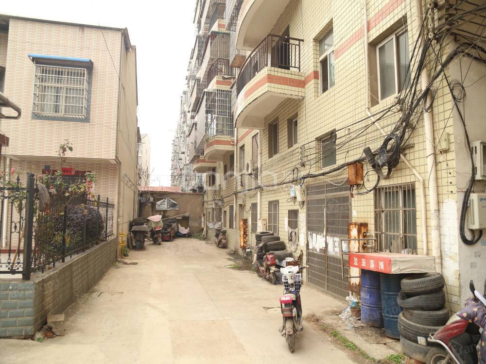 桃苑小区小区图片