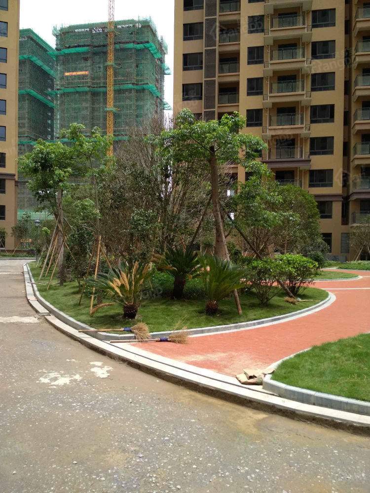 龙恒凤凰城小区图片
