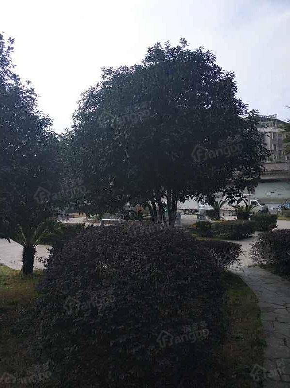 莘塍农场小区小区图片