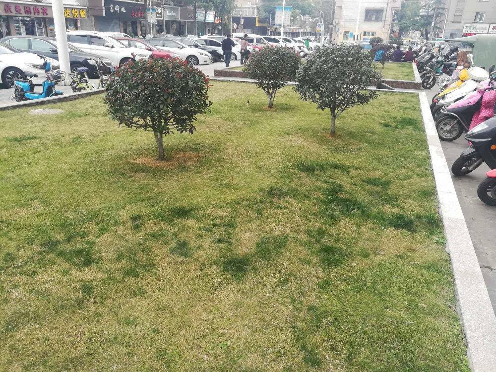 丰盛大厦小区图片