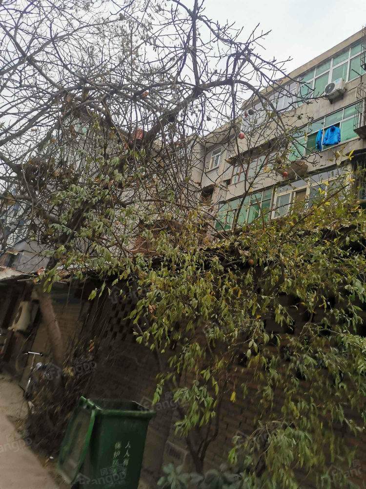 新城纺小区小区图片