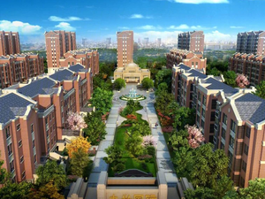 大兴国际