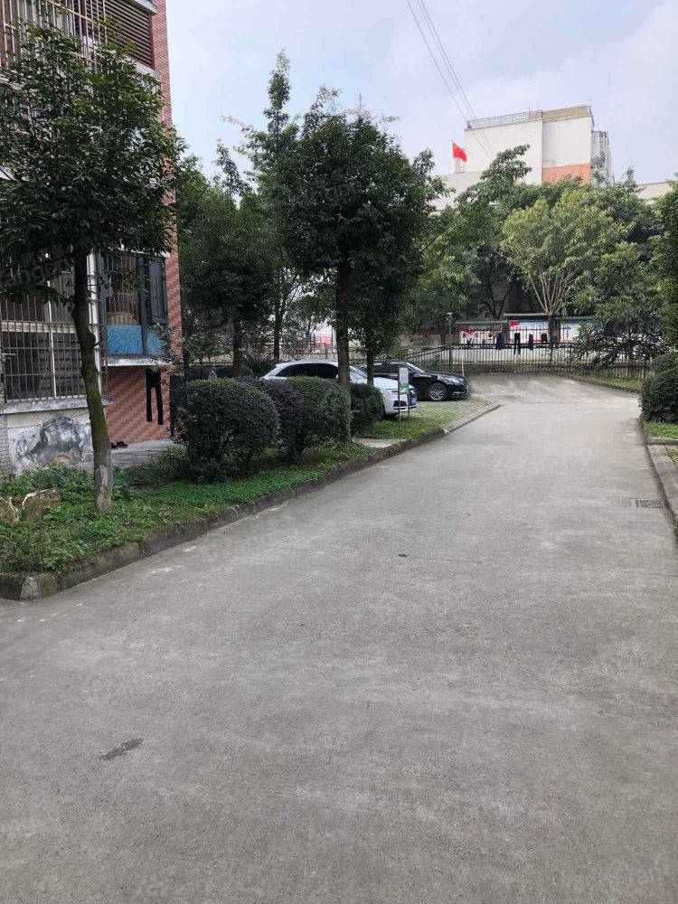农和小区小区图片