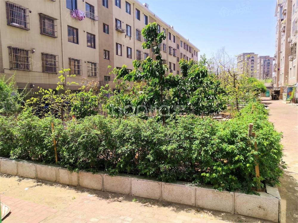 同仁街小区图片