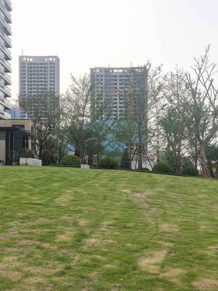 绿城杨柳郡小区图片