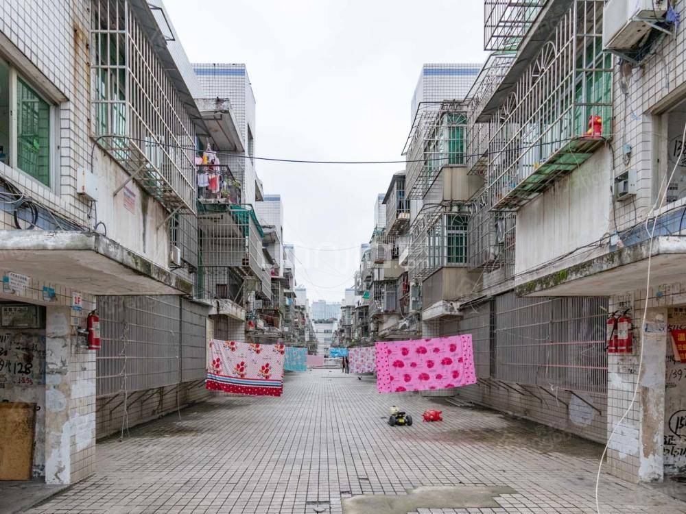 红星蔬菜批发市场小区图片