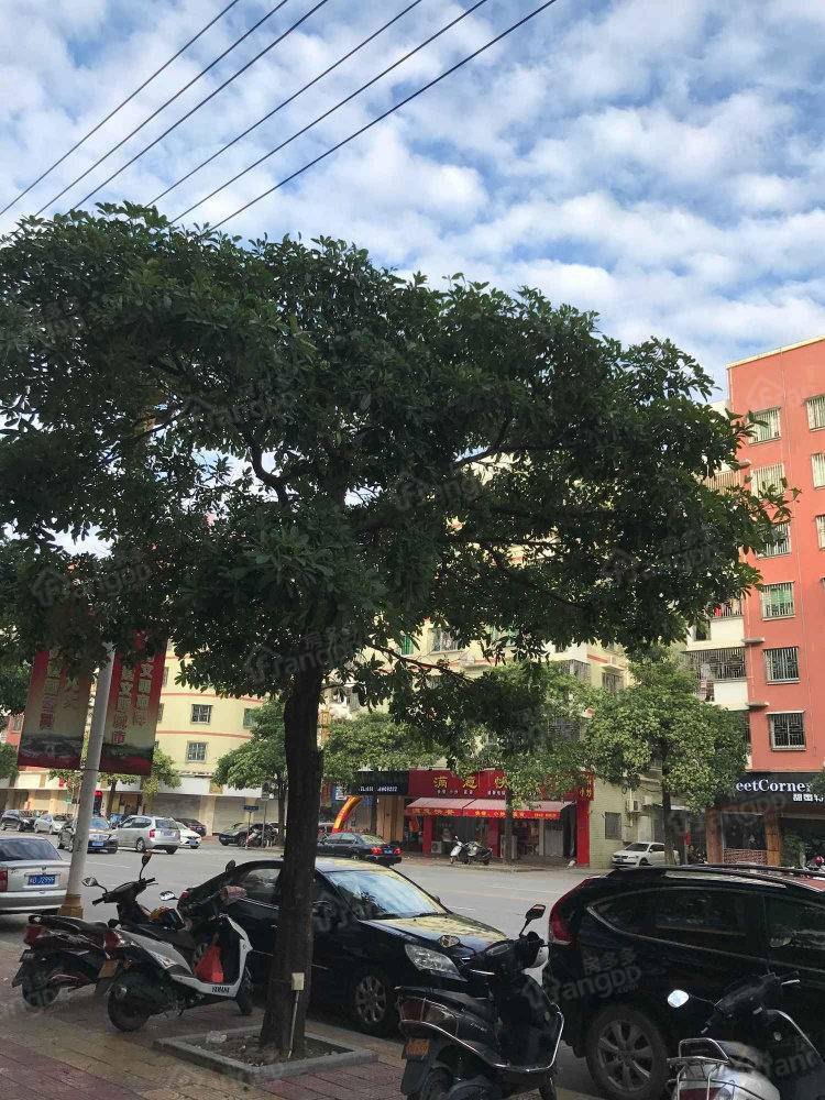 泰景新城小区图片