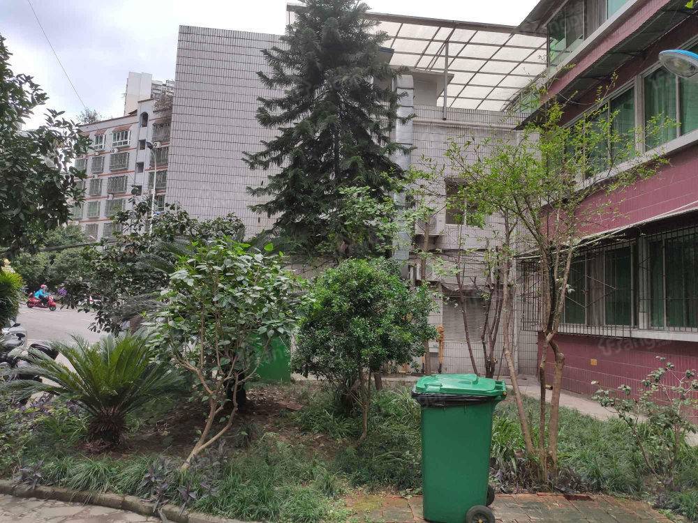 南郊小区小区图片