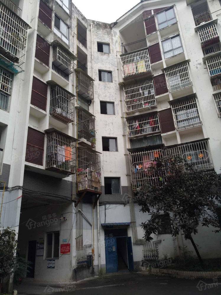 观凤东街92号院小区图片