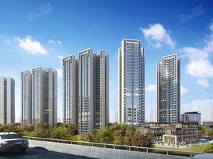 阳光江东首席