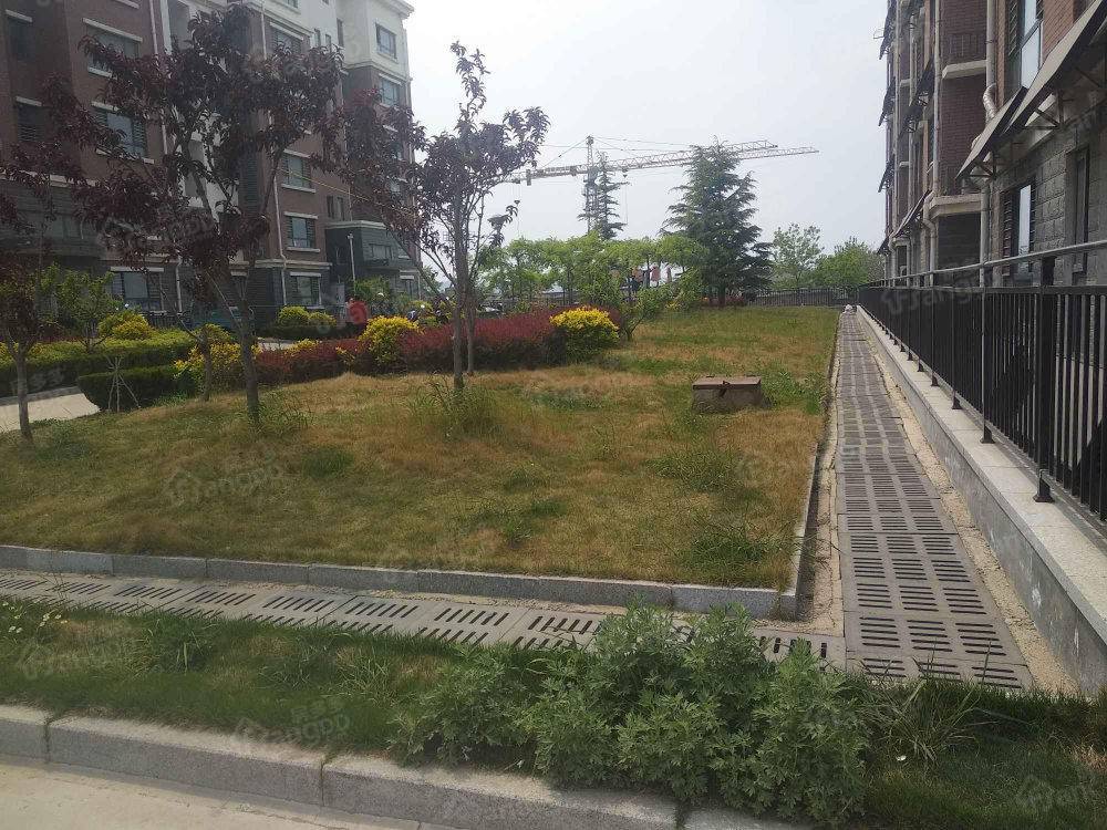 阳光丽景小区图片