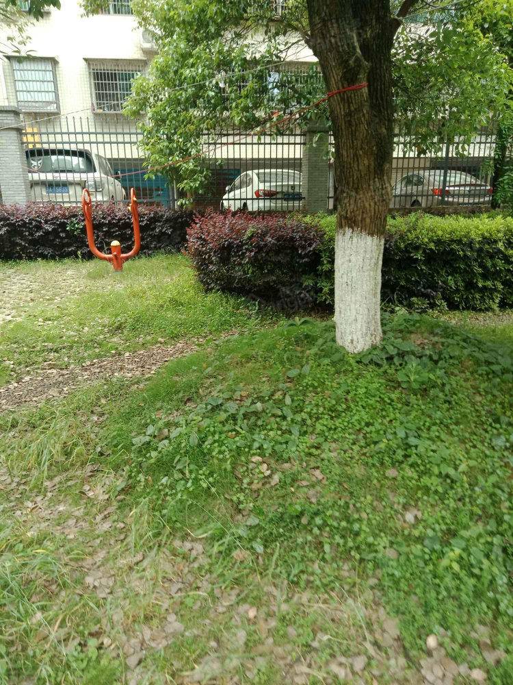 博达花苑小区图片