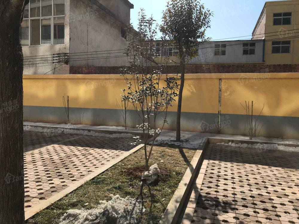棠梨苑小区图片