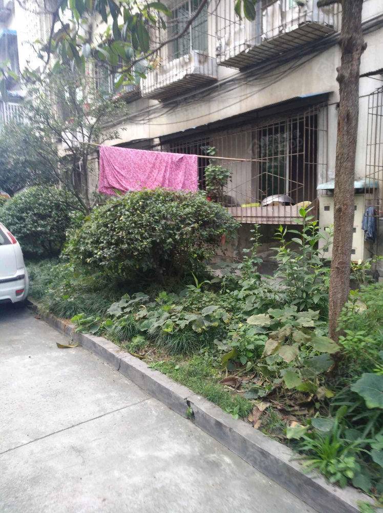 杨柳西区小区图片