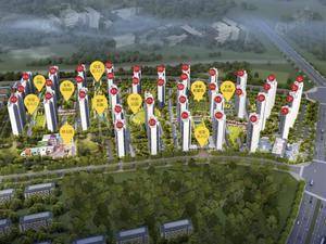 碧桂园·黄金时代