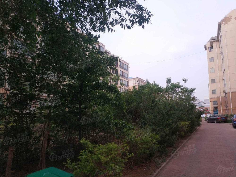 国安小区小区图片