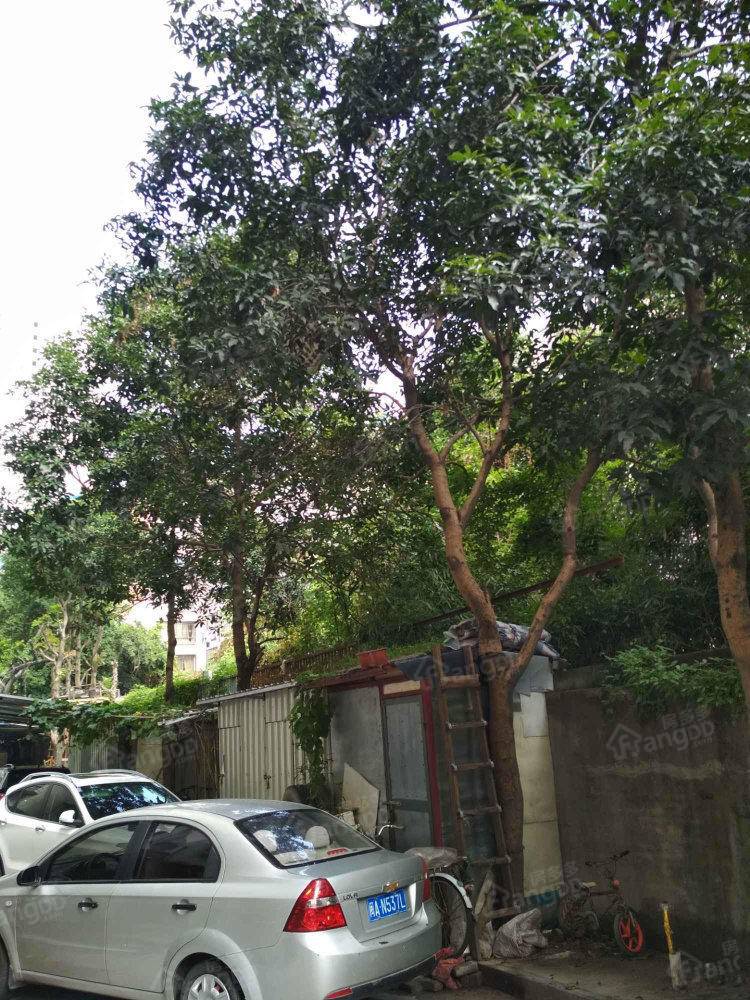 光明鞋厂新村小区图片