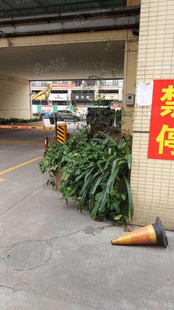 怡翠苑小区图片
