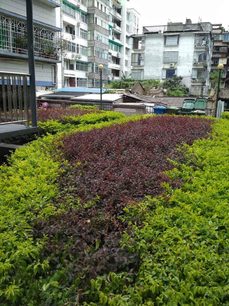 物价局宿舍小区图片