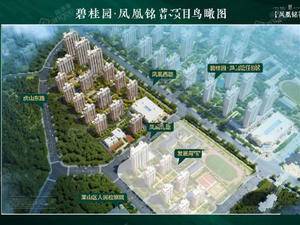 碧桂园凤凰铭著