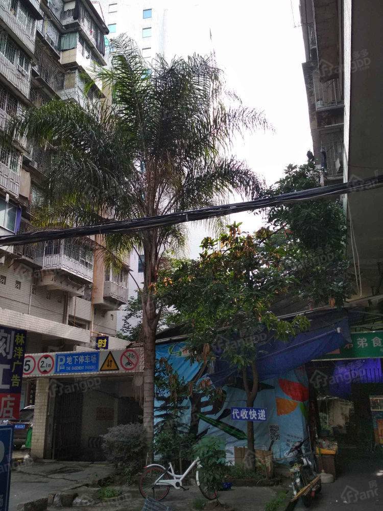 南公小区小区图片