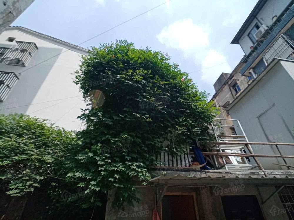 新街社区小区图片