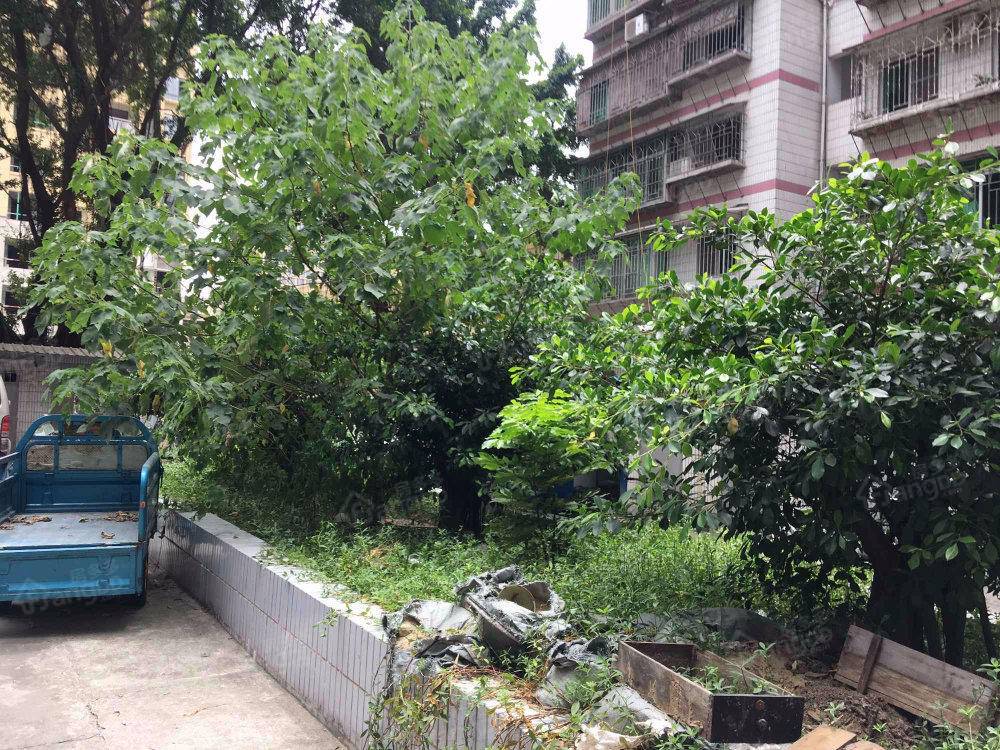 东方商住楼小区图片