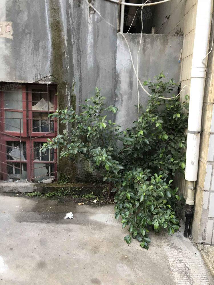 供销商住区小区图片