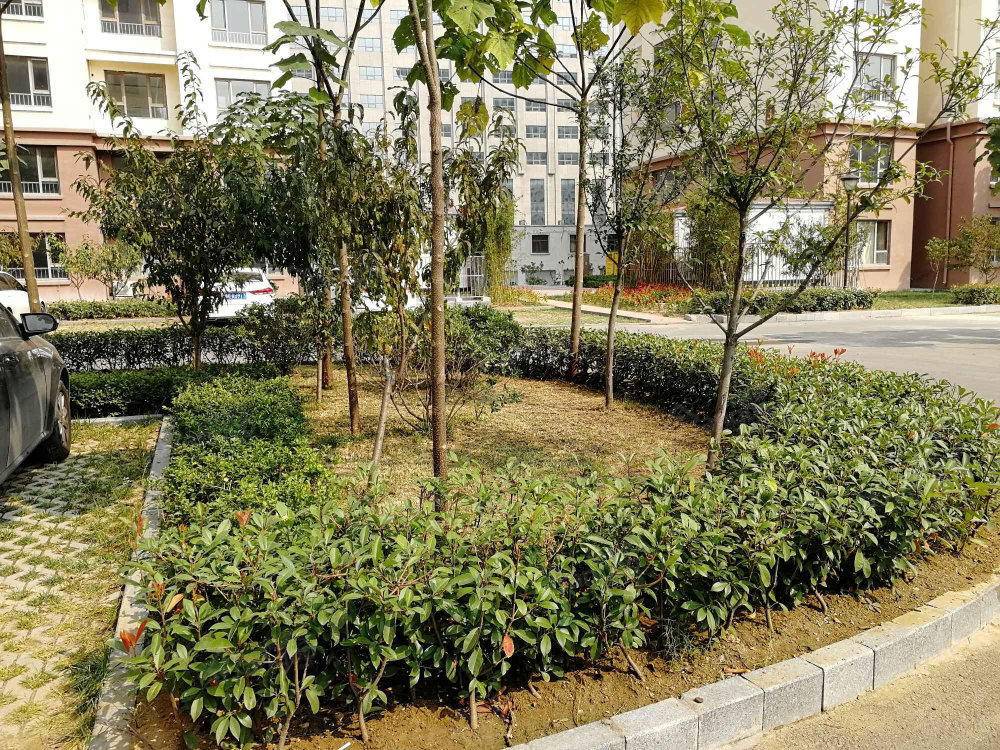 港湾新里程小区图片