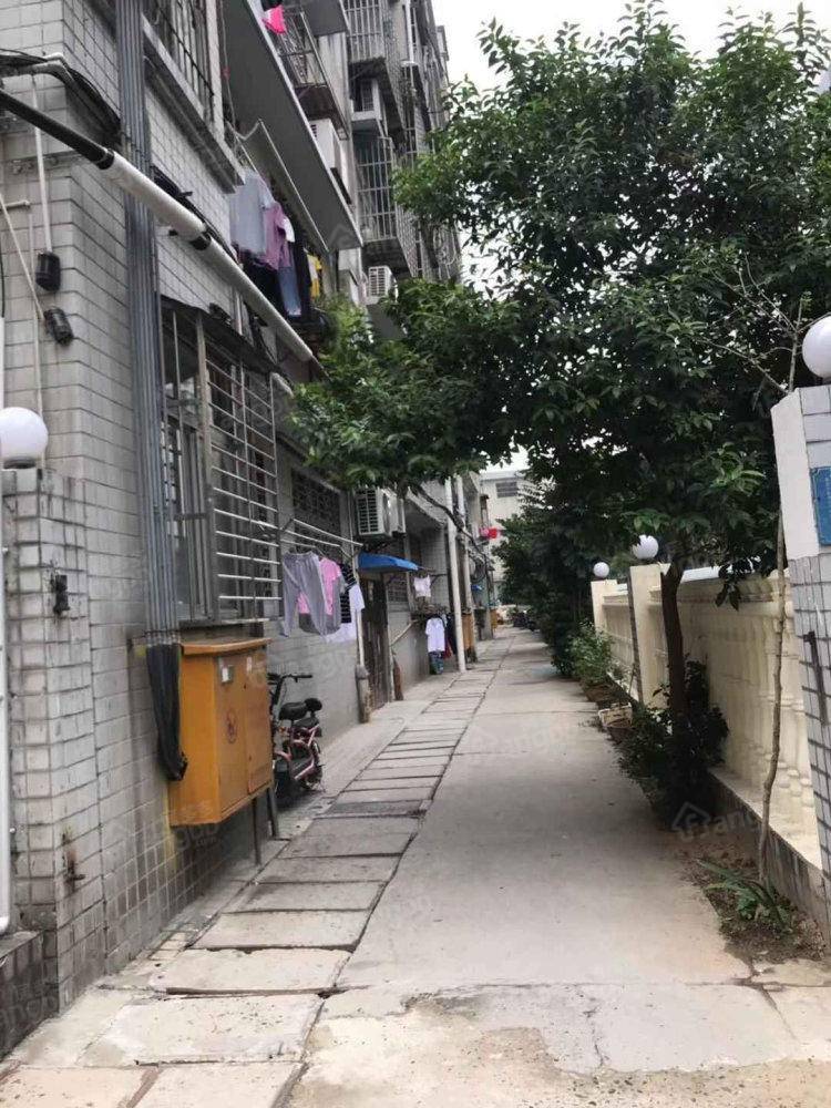 樊城烟草专卖局家属院小区图片