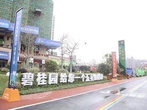 碧桂园明珠花园