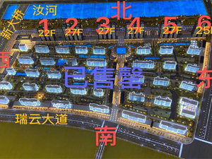 半岛国际