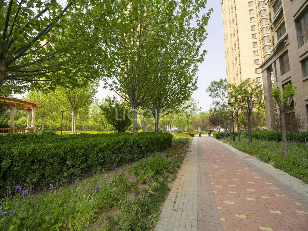 美域新城小区图片