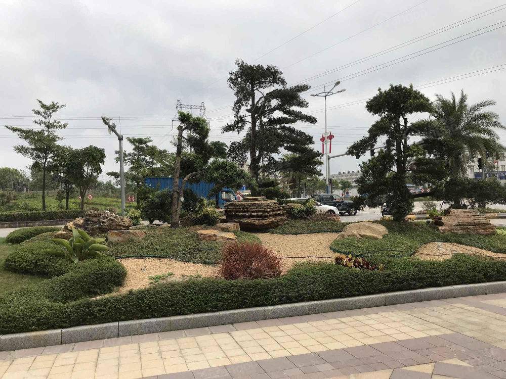台山恒大名都小区图片