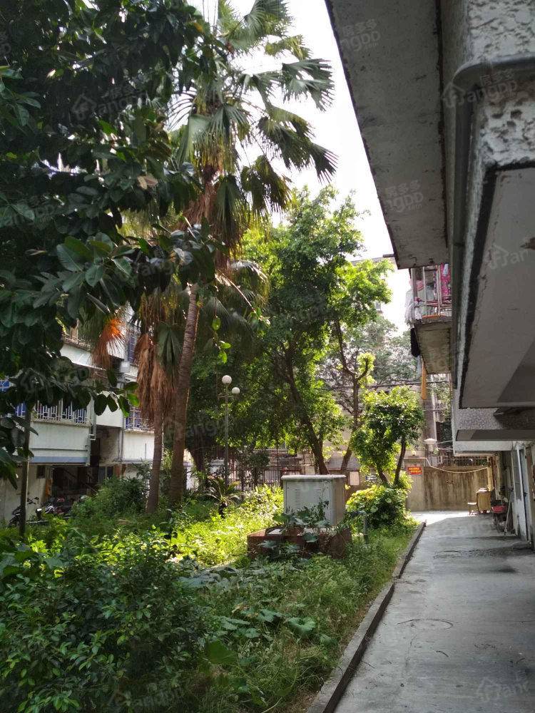 温泉新村小区图片